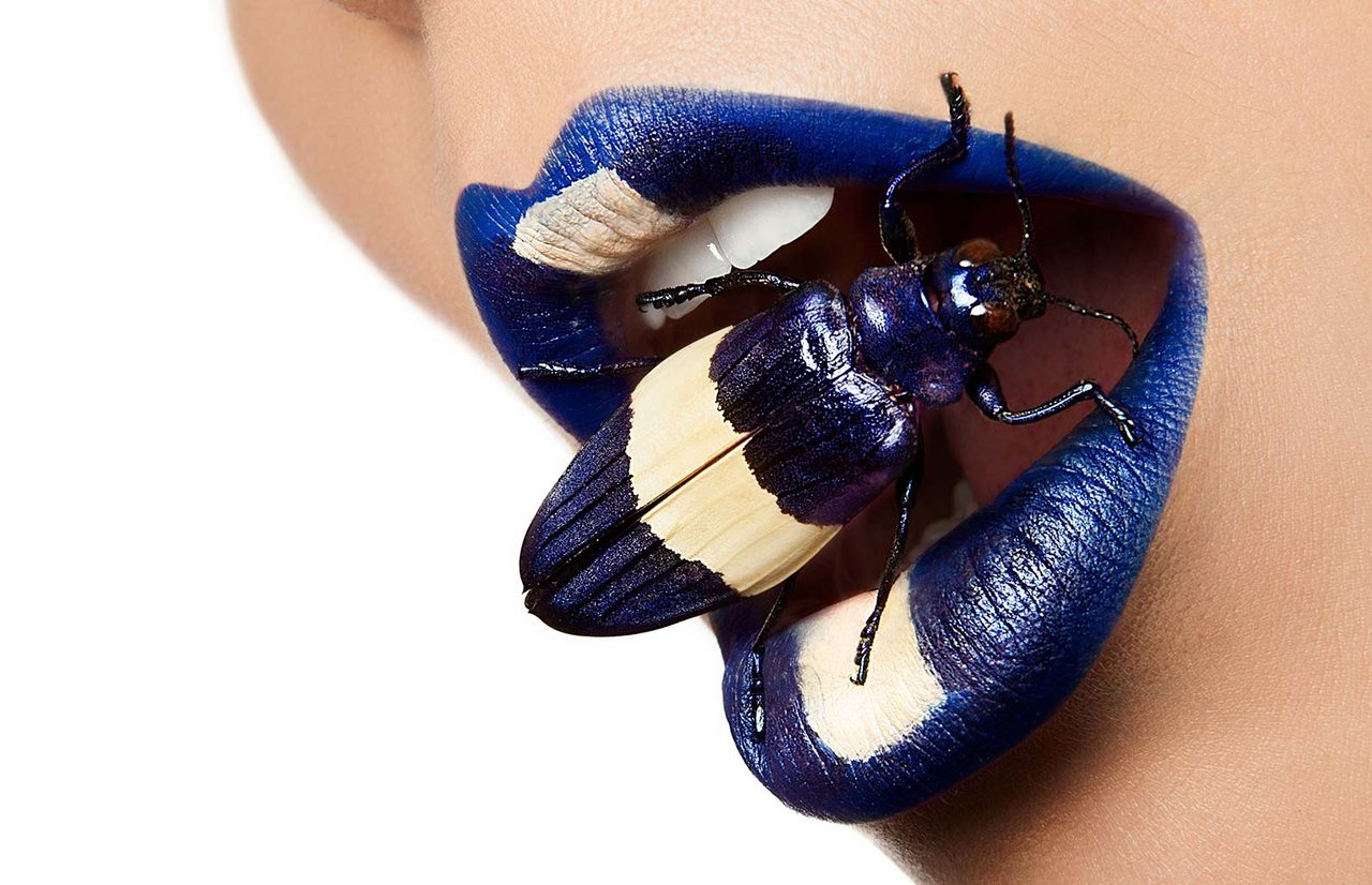 Beetle Beauty, photograph by Aaron Nace