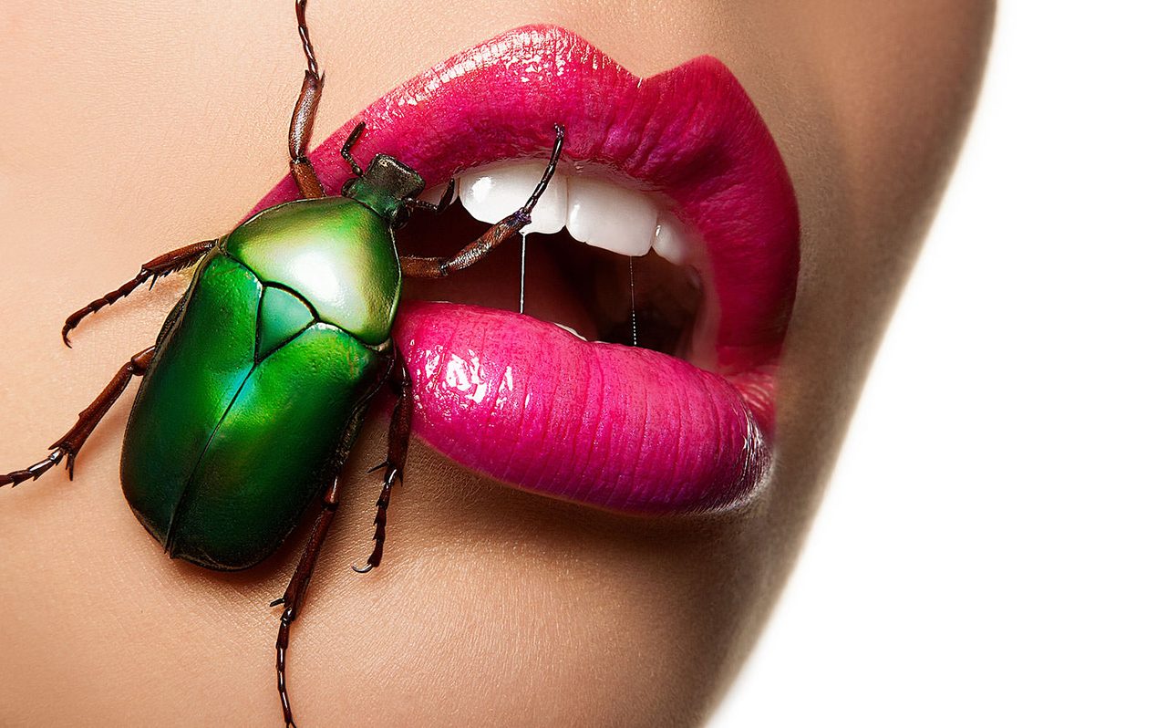 Beetle Beauty, photograph by Aaron Nace