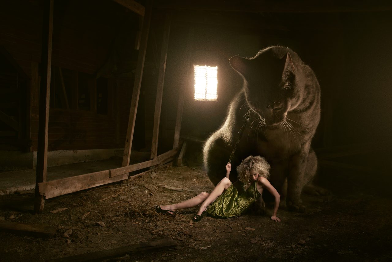 You Complete Me, photograph by Aaron Nace